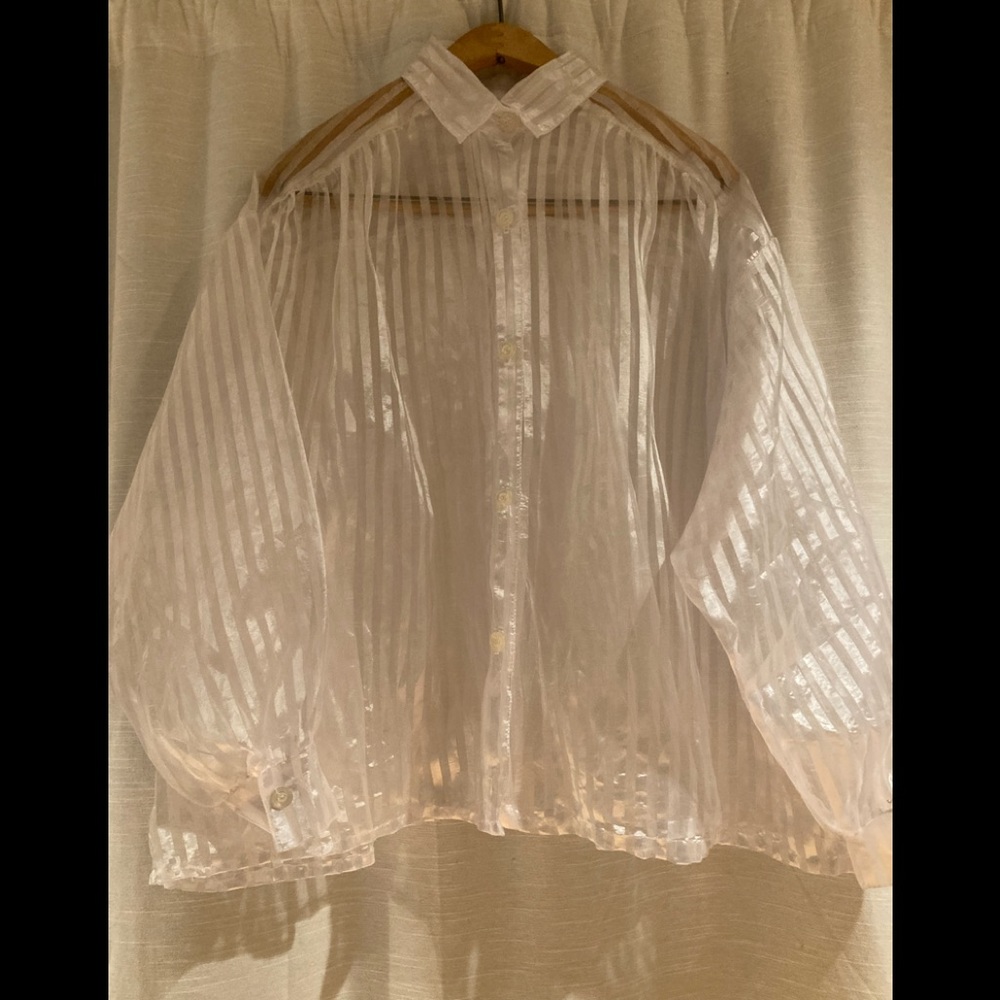 Sheer Blouse with White Stripes